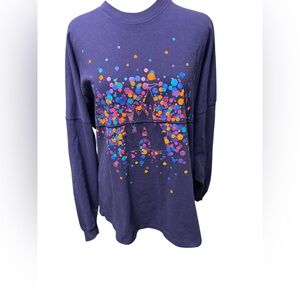 Disneyland Resort sleeping beauty castle 30th anniversary spirit 2022